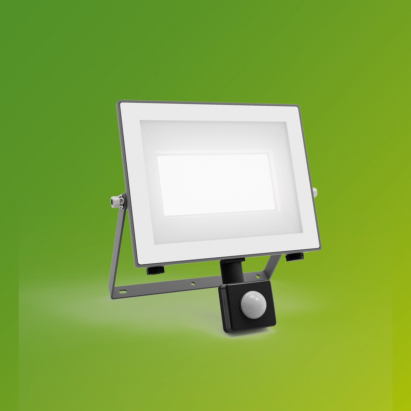 Detalj av LED utespot Lois med bevegelsessensor 24W 5000K IP65 Philips