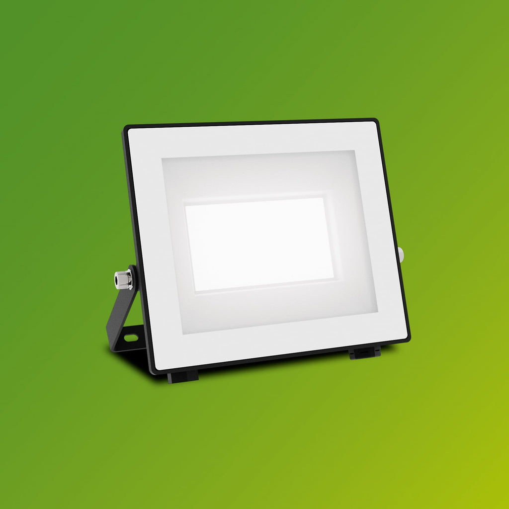 LED utespot Lois UE flood 14W 5000K IP65 antrasitt Philips nærbilde