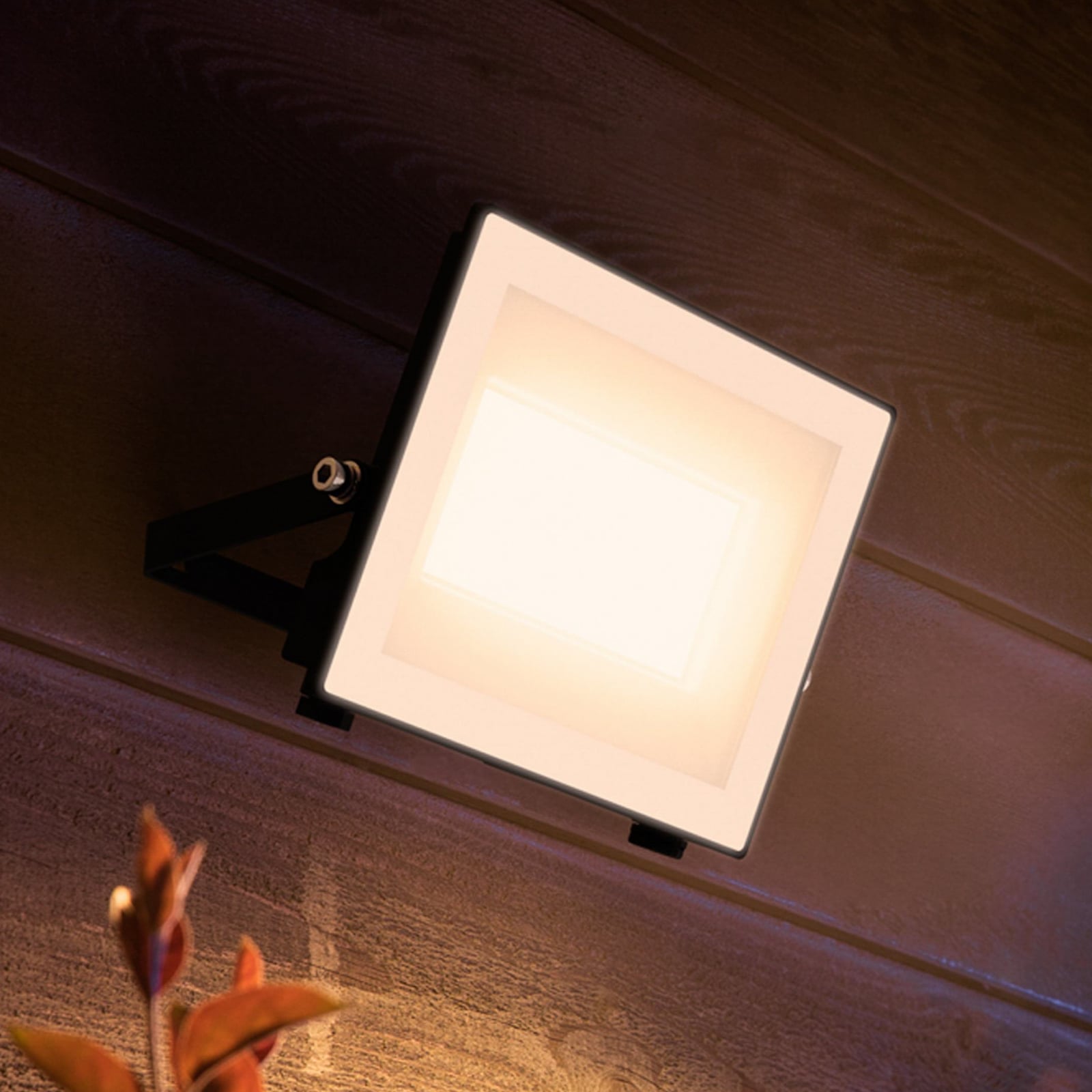 LED utespot Lois UE flood antrasitt 24W IP65 Philips forfra