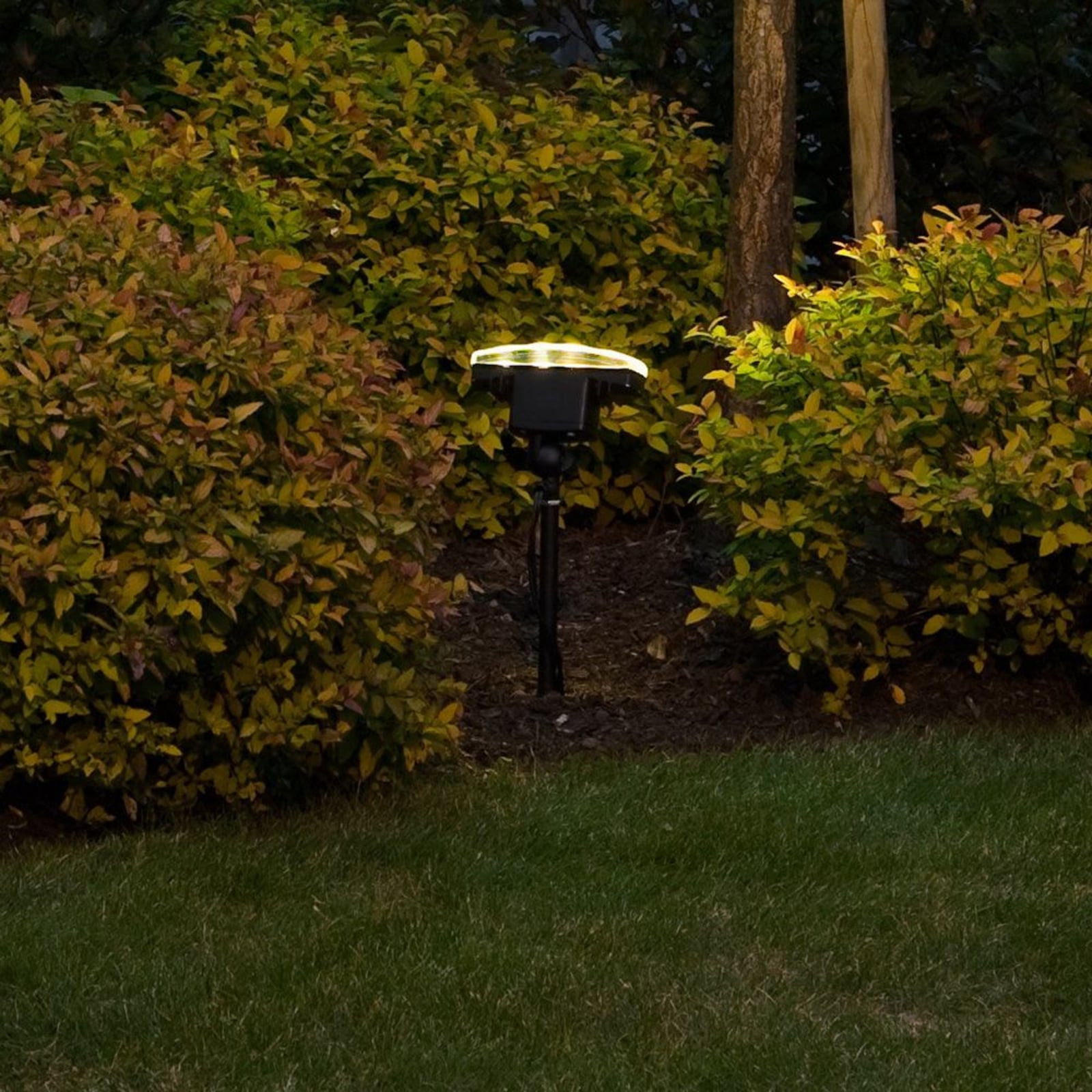 LED utespotlampe Amalfi med jordspyd for hagebelysning foran