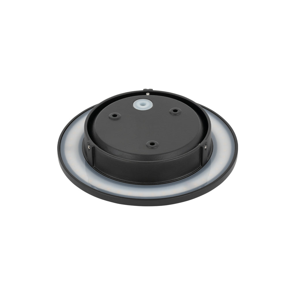 LED utevegglampe Aria M svart aluminium lysbilde