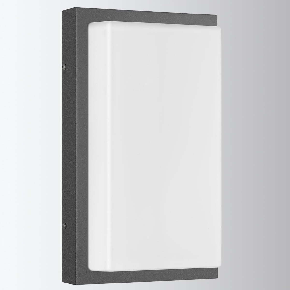 LED utevegglampe Babett grafitt rustfritt stål IP44 forside