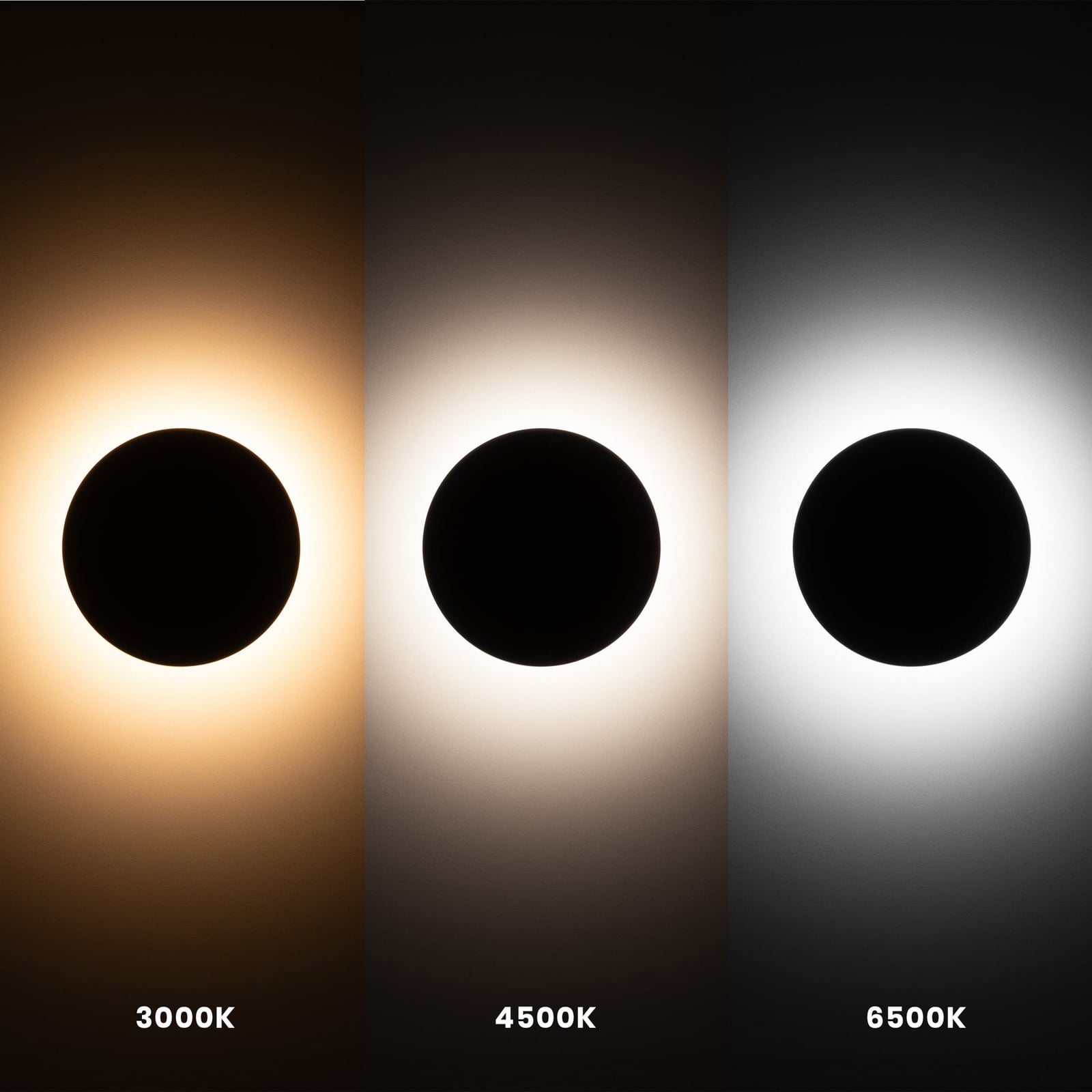 LED utevegglampe Disk svart Ø18 cm IP65 Milagro Lighting med justerbar fargetemperatur