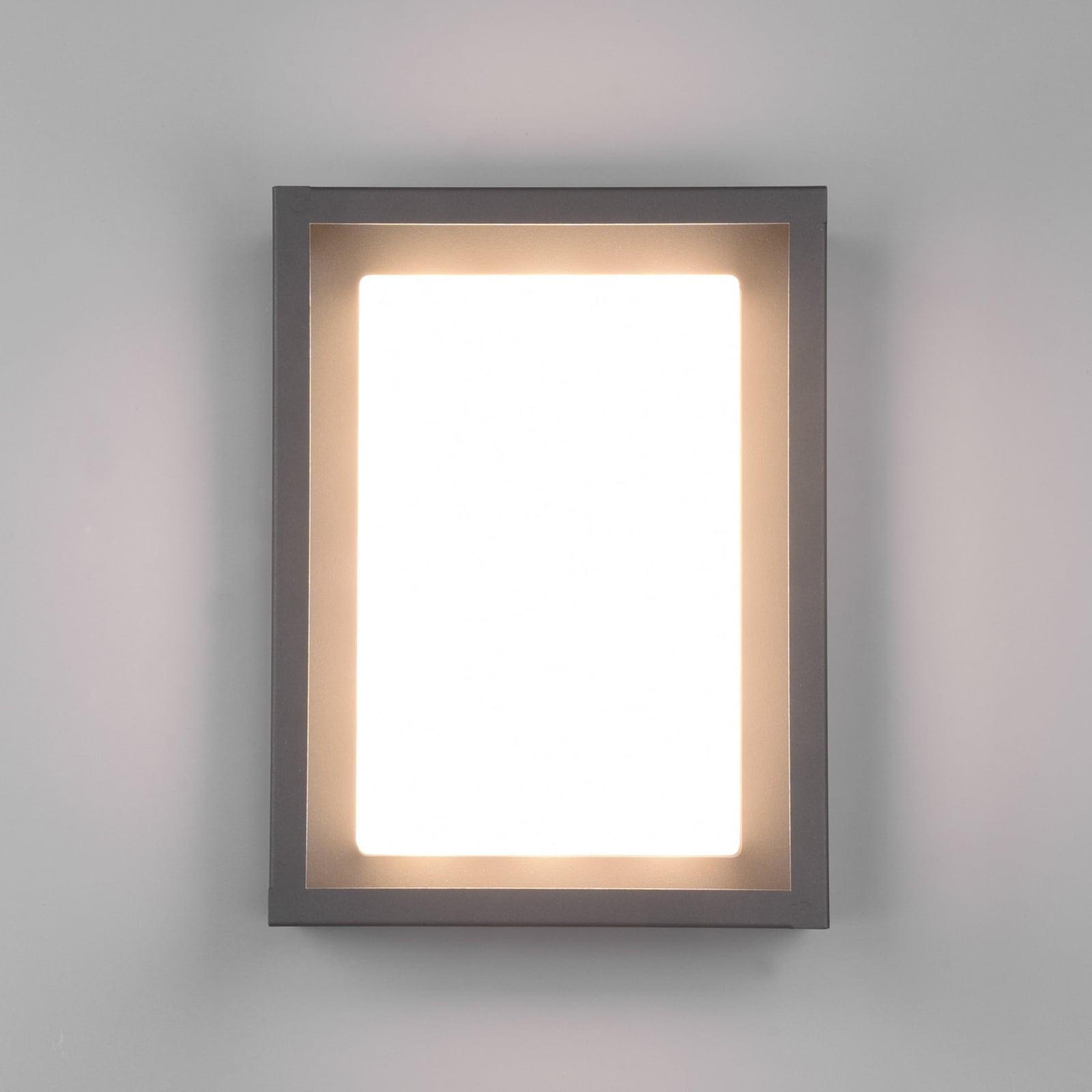 Montert LED utevegglampe Witham antrasitt CCT IP54 - Trio Lighting