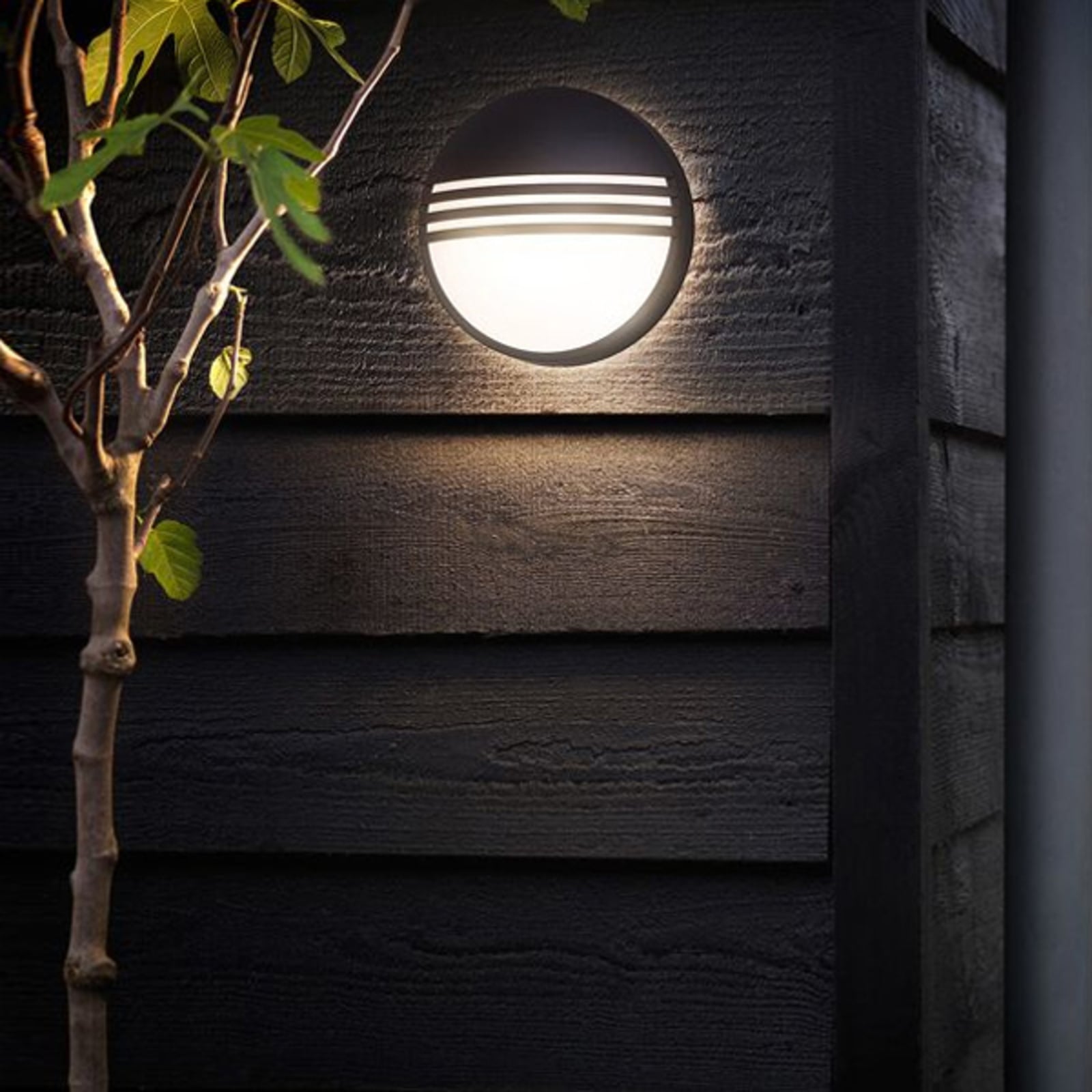 LED utevegglampe Yarrow svart Ø21 cm IP44 bakside