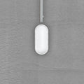 LED utevegglampe Zella Neo XL med sensor CCT 16W IP54 forfra