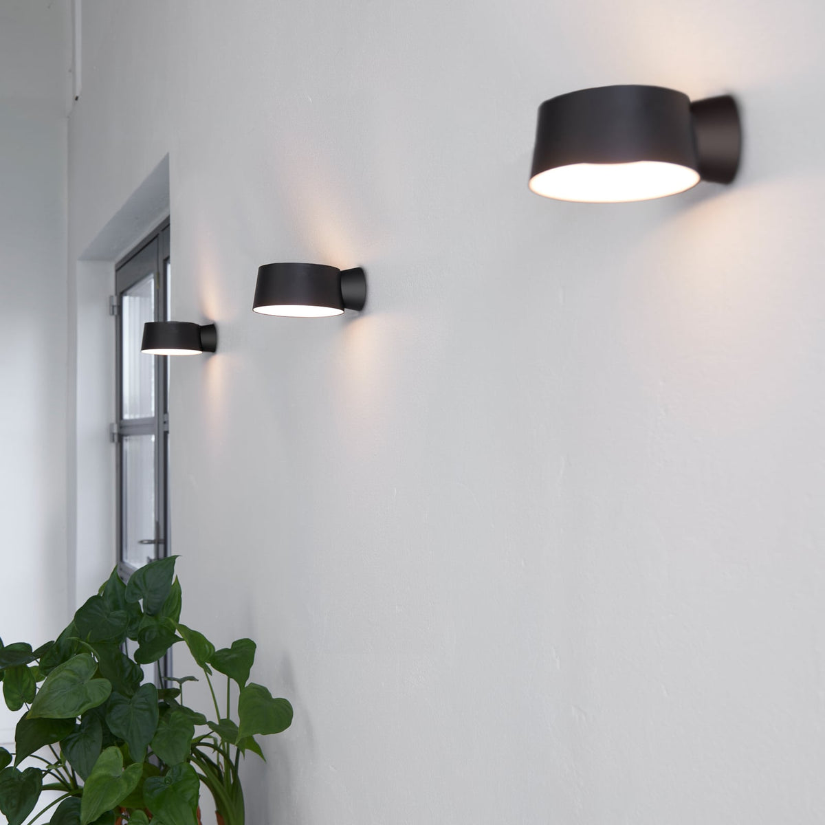 LED vegglampe Cookie svart dimbar detalj av lampeskjerm