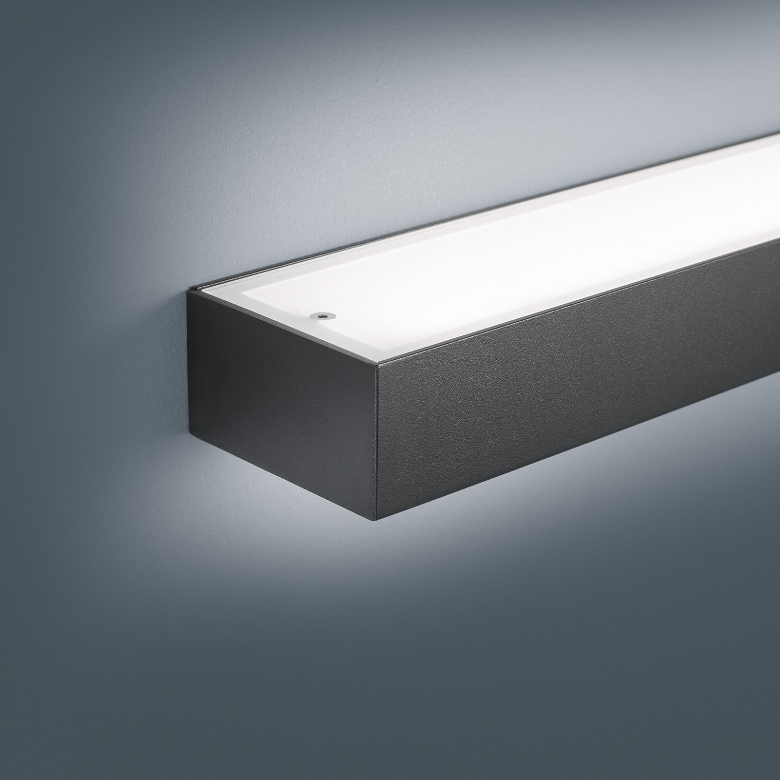 LED-vegglampe Theia matt svart 30 cm IP44 detalj av glass og stål