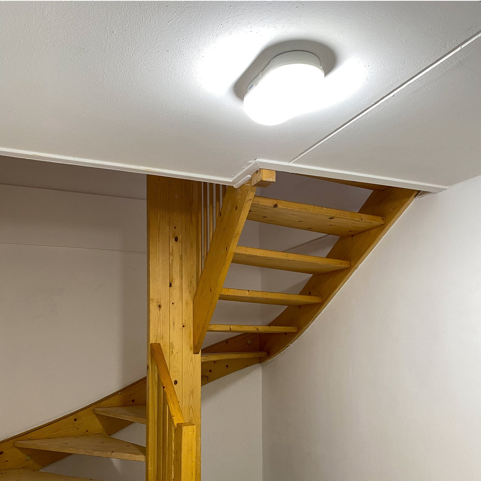 LED utevegglampe Schwabing XXL oval hvit lysbilde