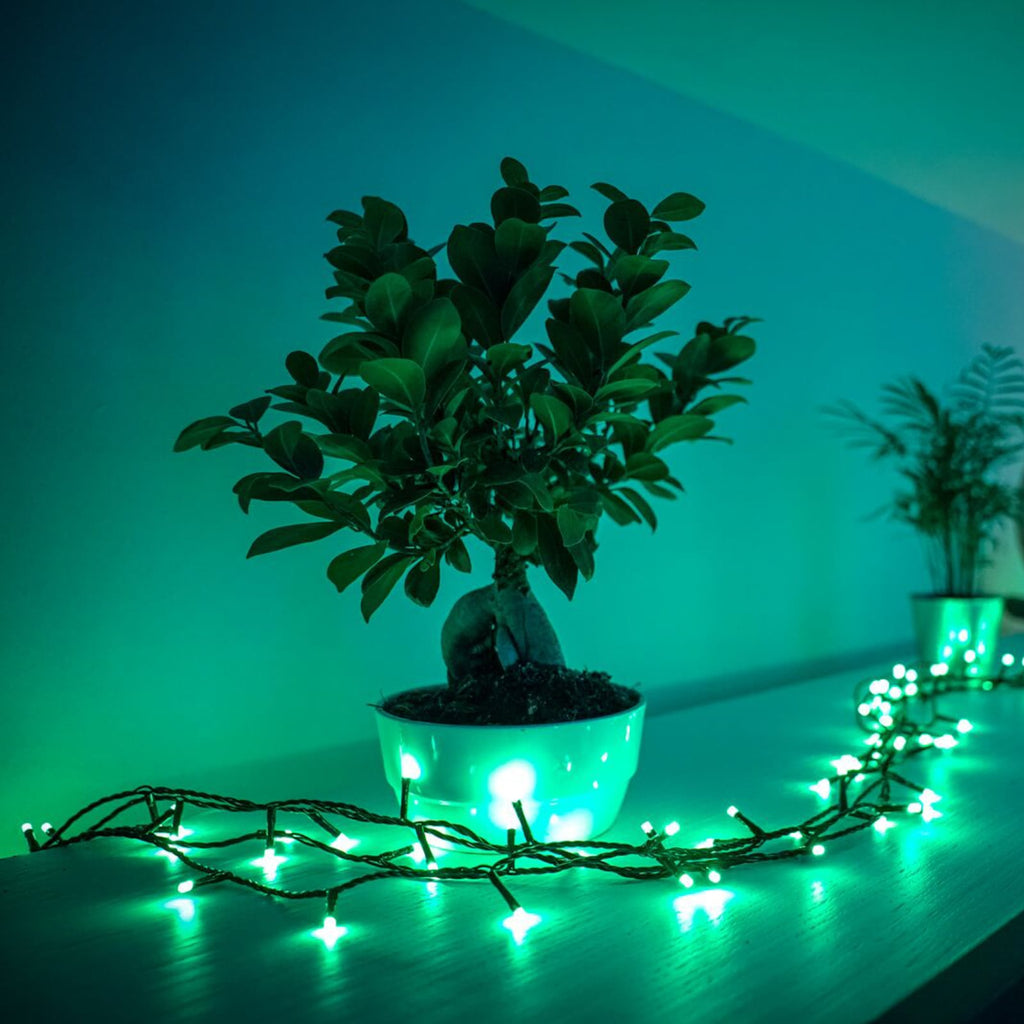 Lyslenke Twinkly RGB 250 lys 20 m dimbar WiFi IP44 forfra