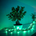 Lyslenke Twinkly RGB 250 lys 20 m dimbar WiFi IP44 forfra