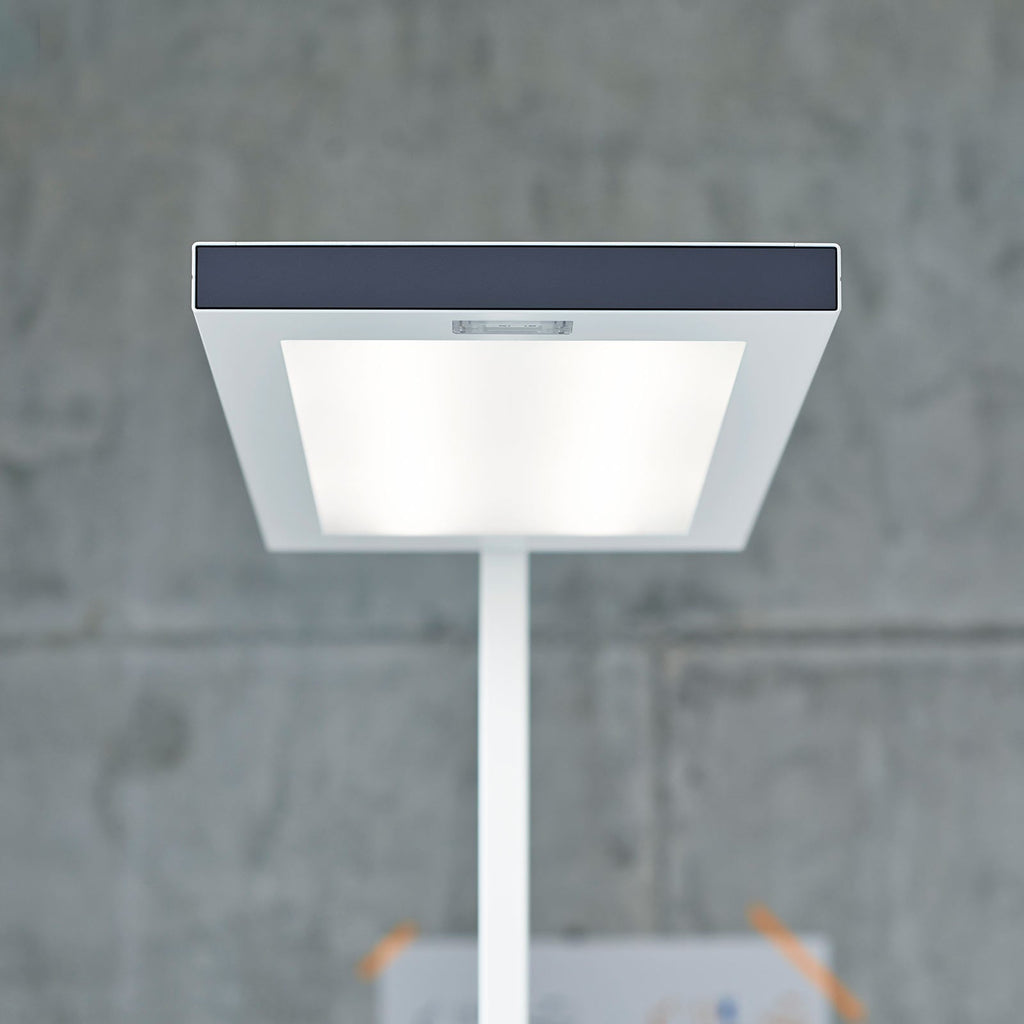 Montert LED gulvlampe Lavigo DPS 14000 dimbar hvit i kontormiljø