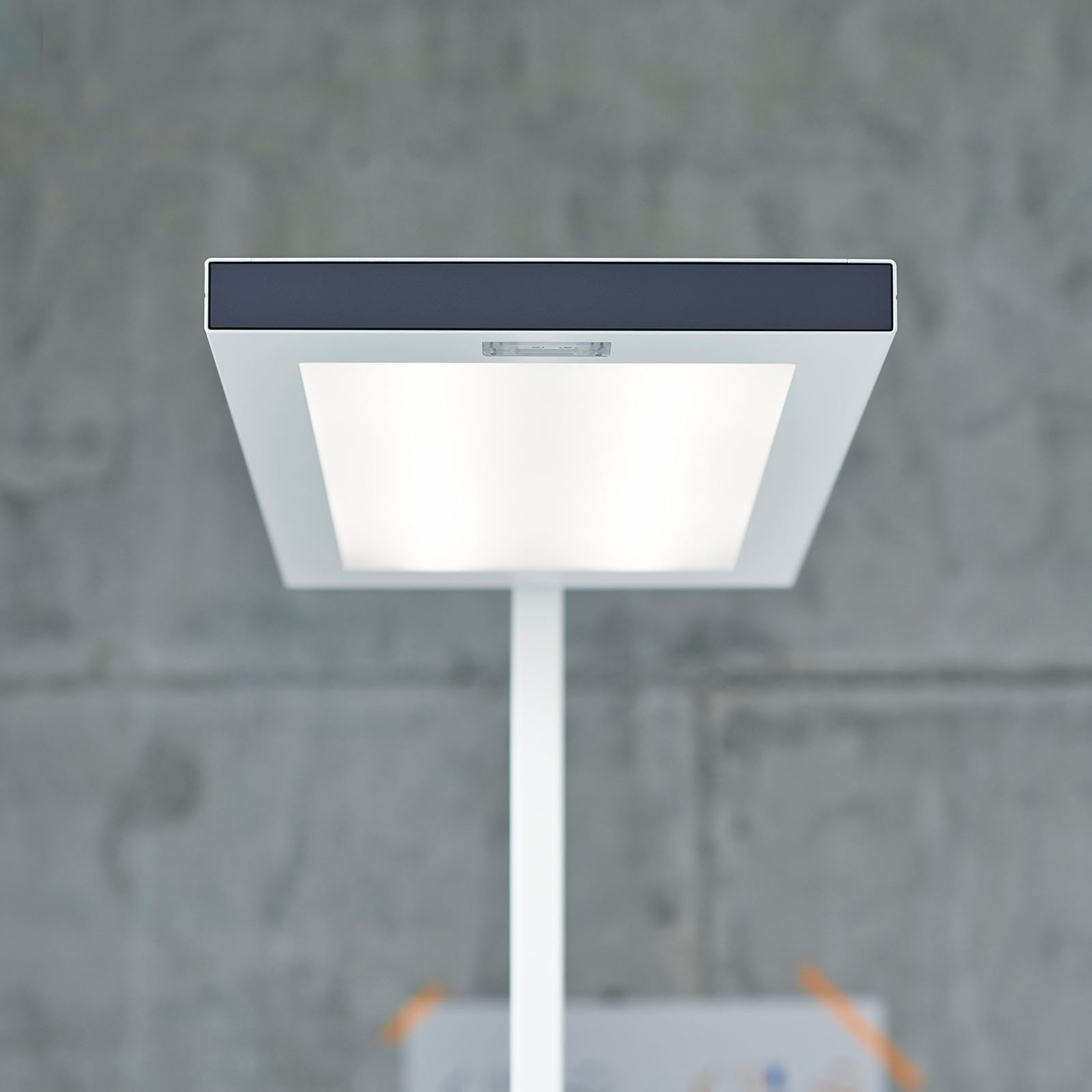 Montert LED gulvlampe Lavigo DPS 14000 dimbar hvit i kontormiljø