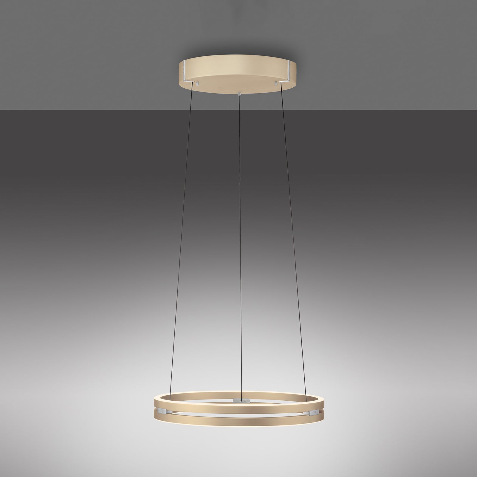 Nærbilde av LED pendellampe PURE E-Loop messing