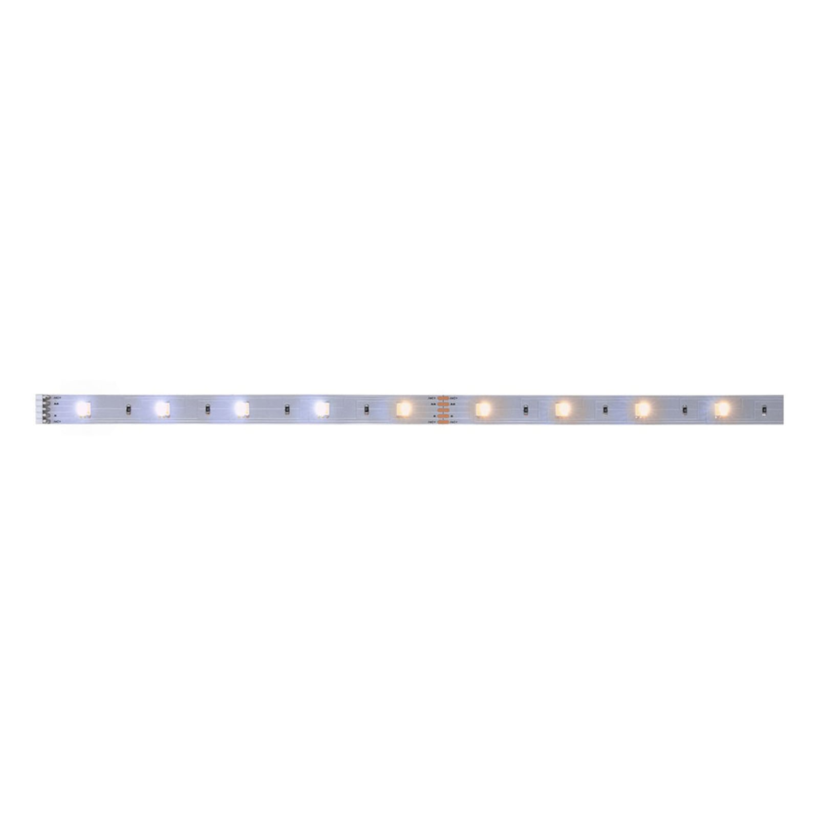 Nærbilde av LED-stripe MaxLED 250 dimbar CCT IP20 100 cm LED-dioder