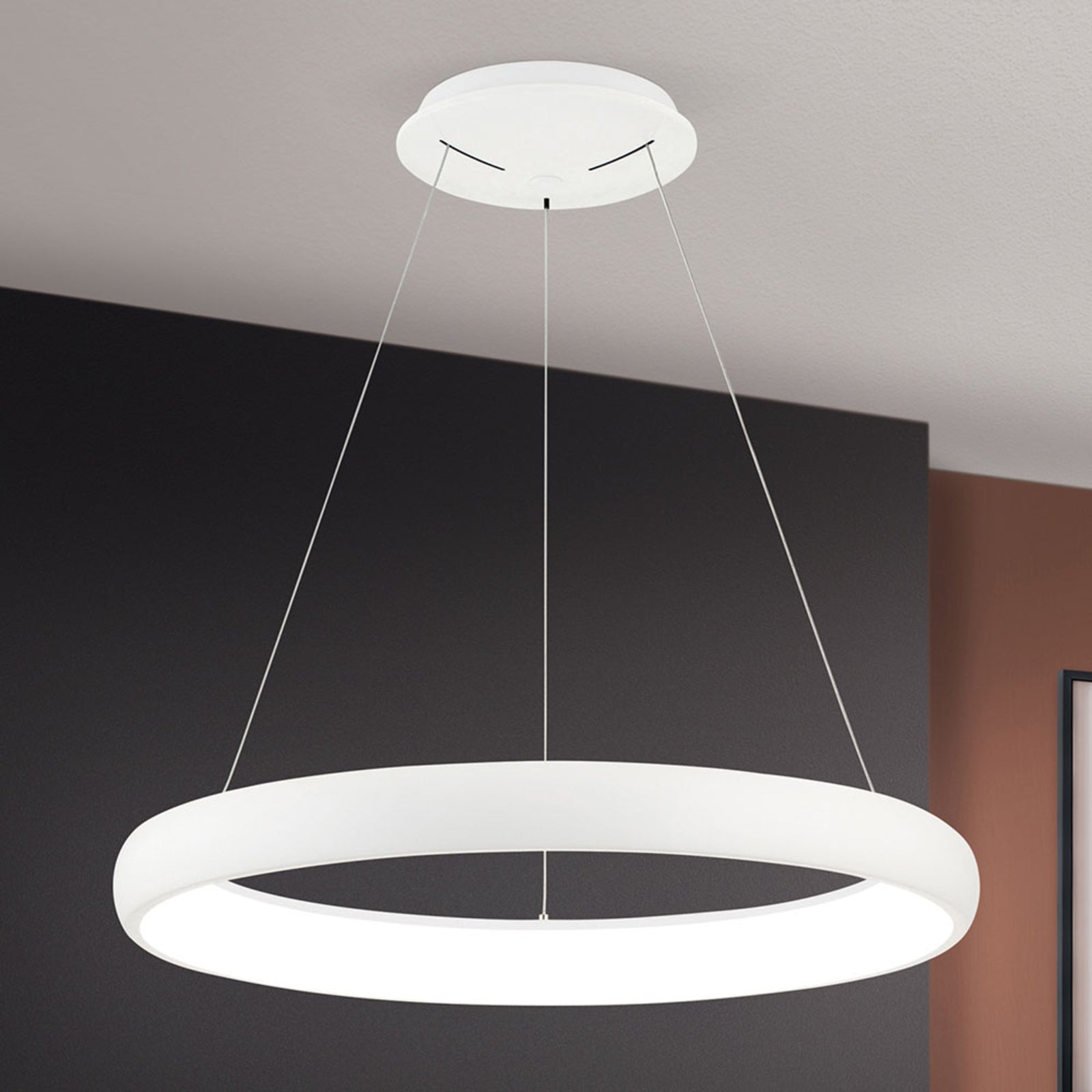 Pendellampe LED dimbar ringformet hvit Ø61 cm 50W - ORION bakside