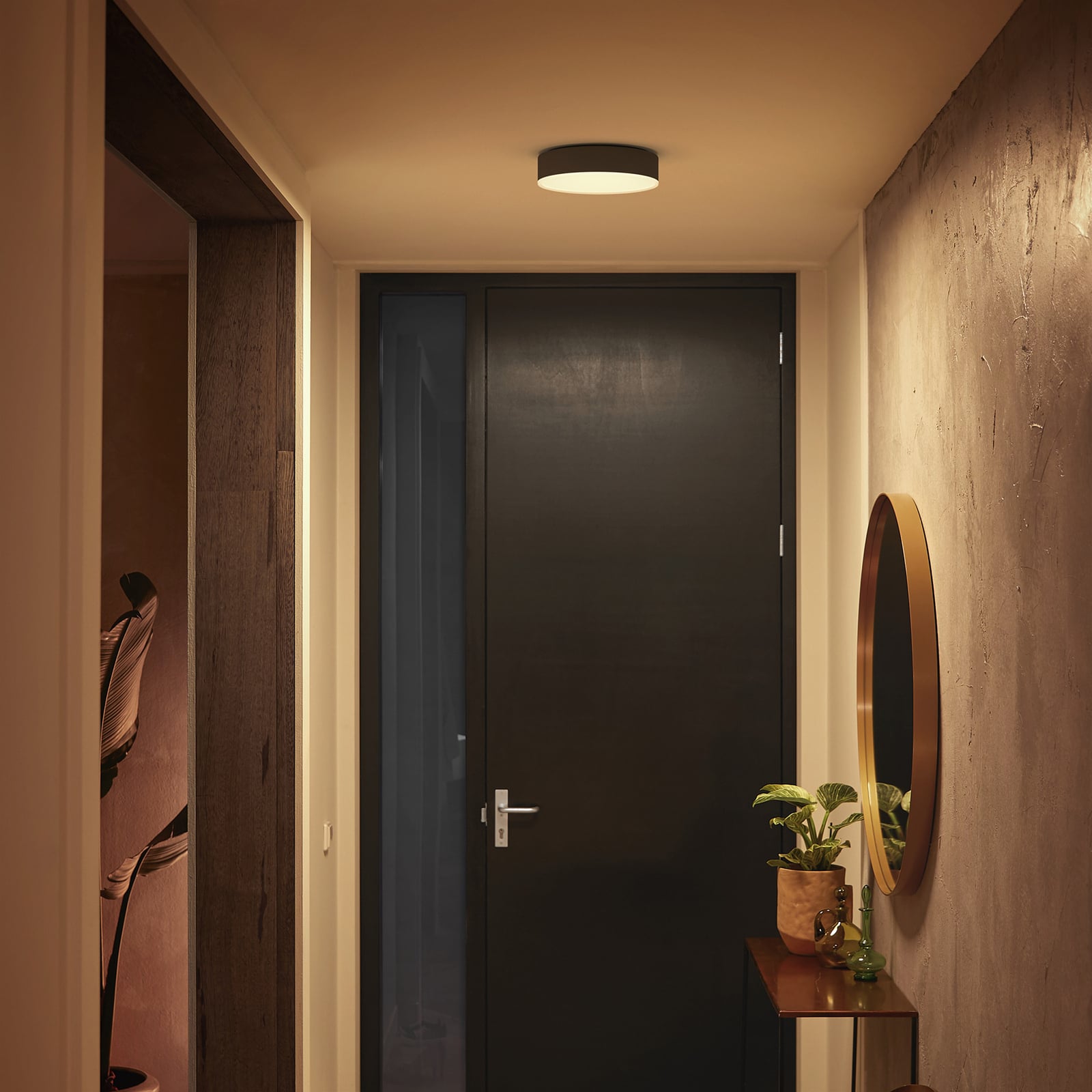 Detalj av Philips Hue Enrave LED taklampe svart CCT dimbar Ø26 cm