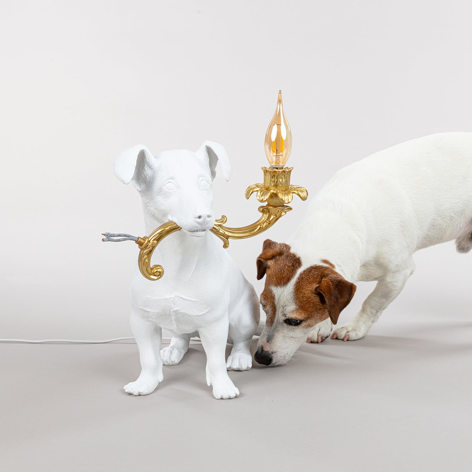 Rio Lamp LED dekorativ bordlampe hund hvit E14 - SELETTI
