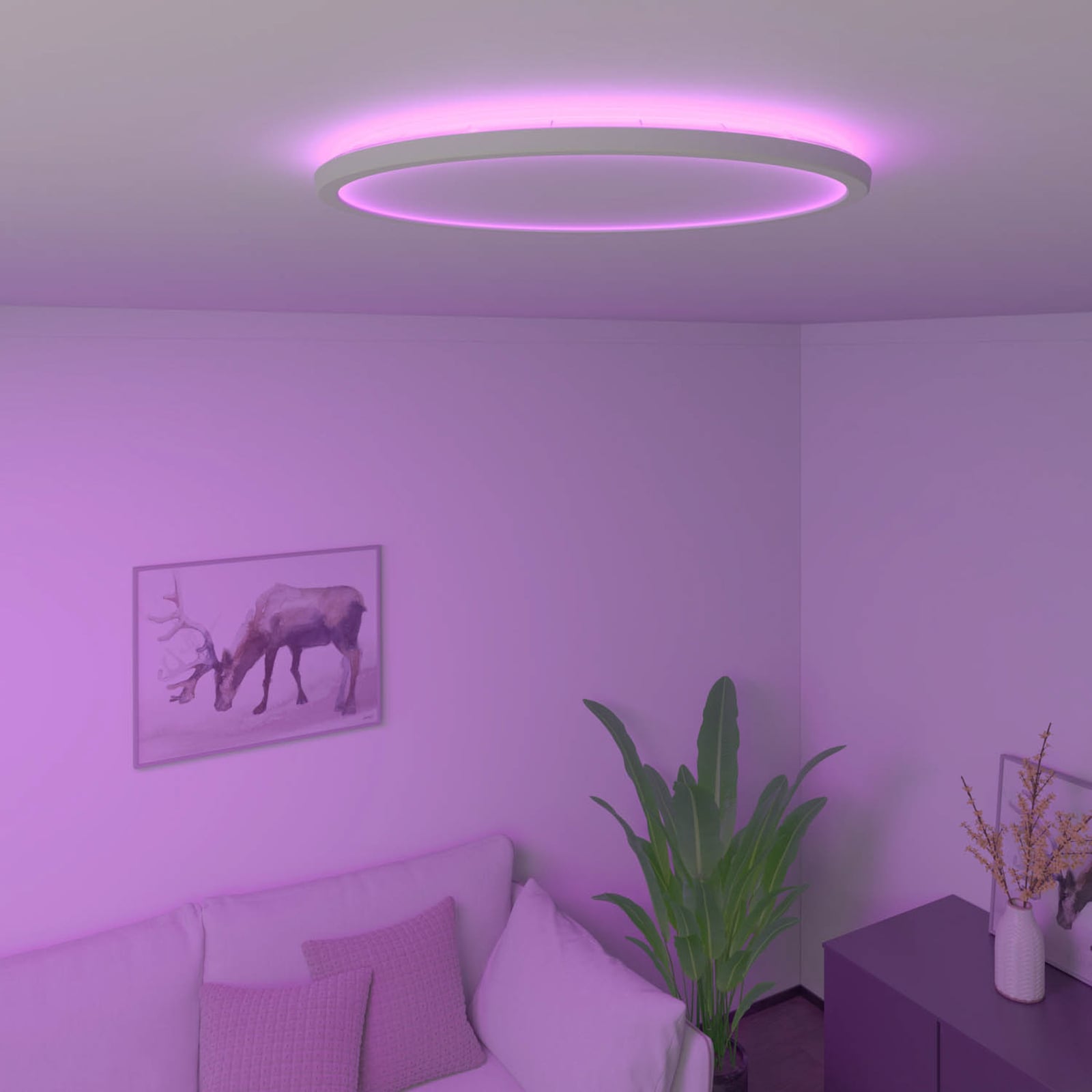 Smart LED taklampe Halo dimbar CCT RGB Ø40 cm hvit IP54 bakside