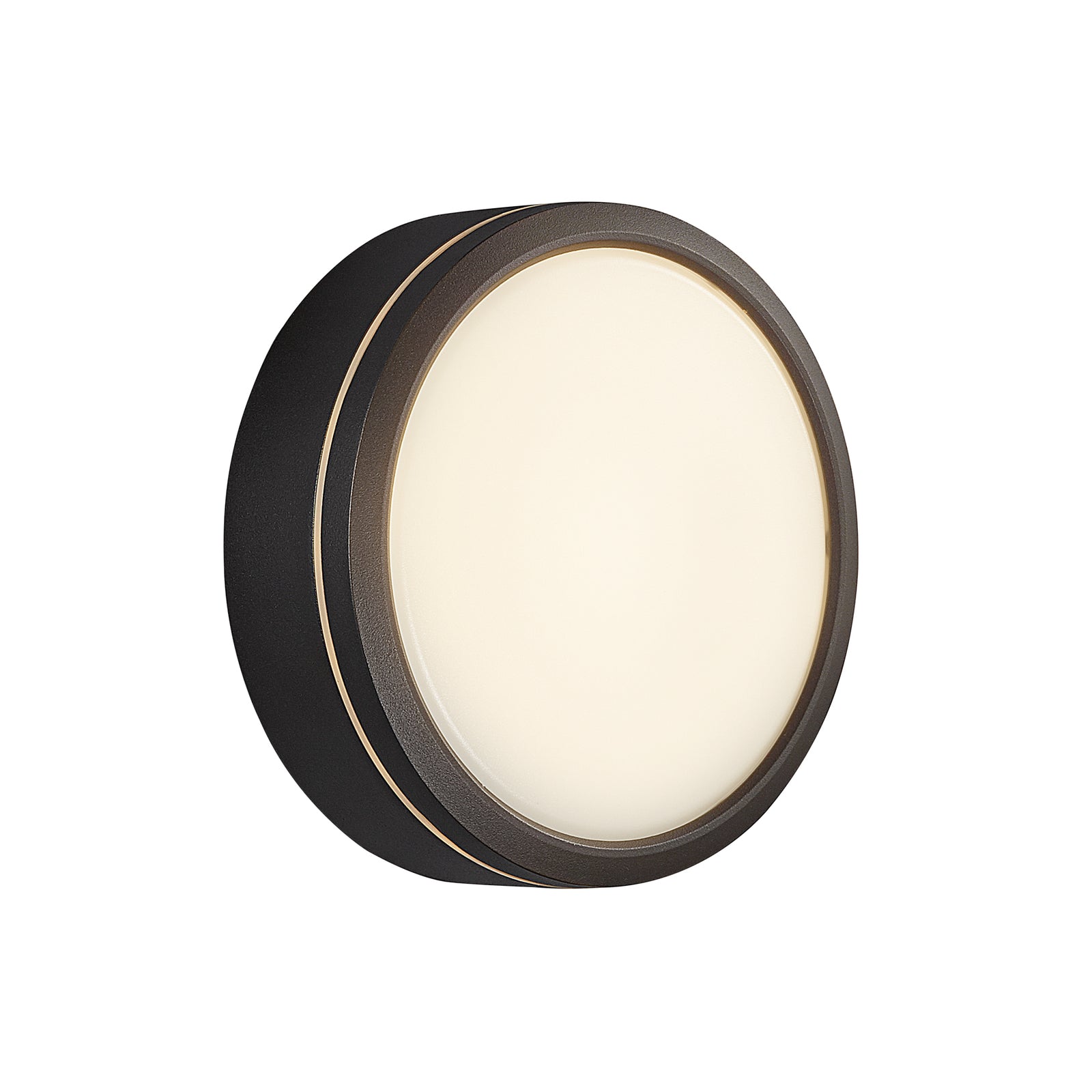 Smart LED utevegglampe Ava dimbar svart Ø20 cm IP54 montert utendørs