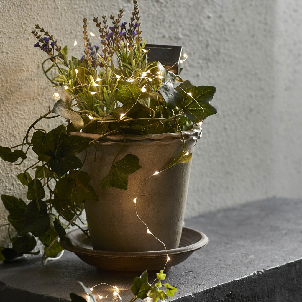 Solcellelyslenke Dew Drop 250 cm 50 LED varmhvit IP44 nærbilde LED-lys