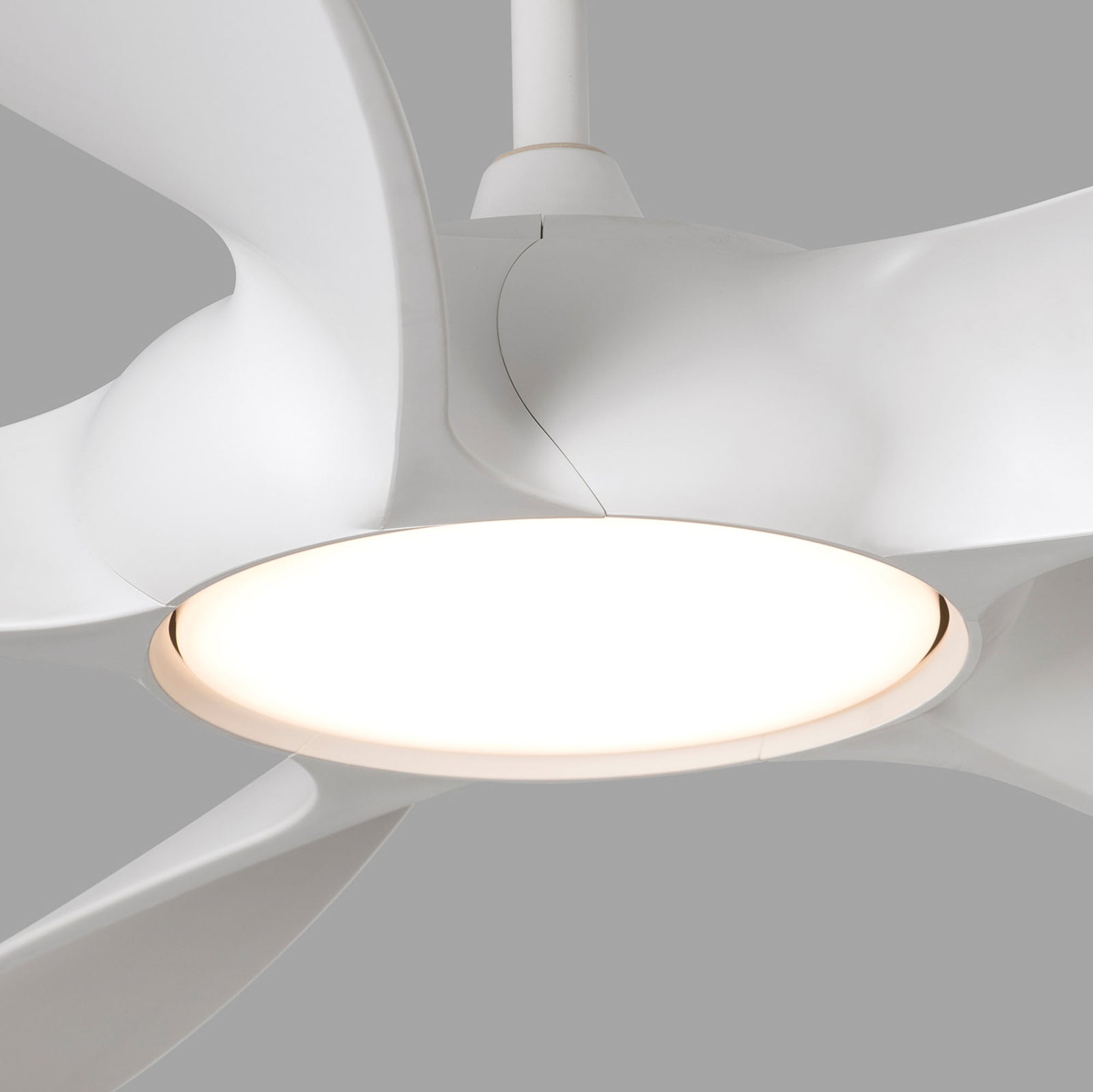 Montert Takvifte Cocos L med LED-lys DC hvit Ø137 cm i rom
