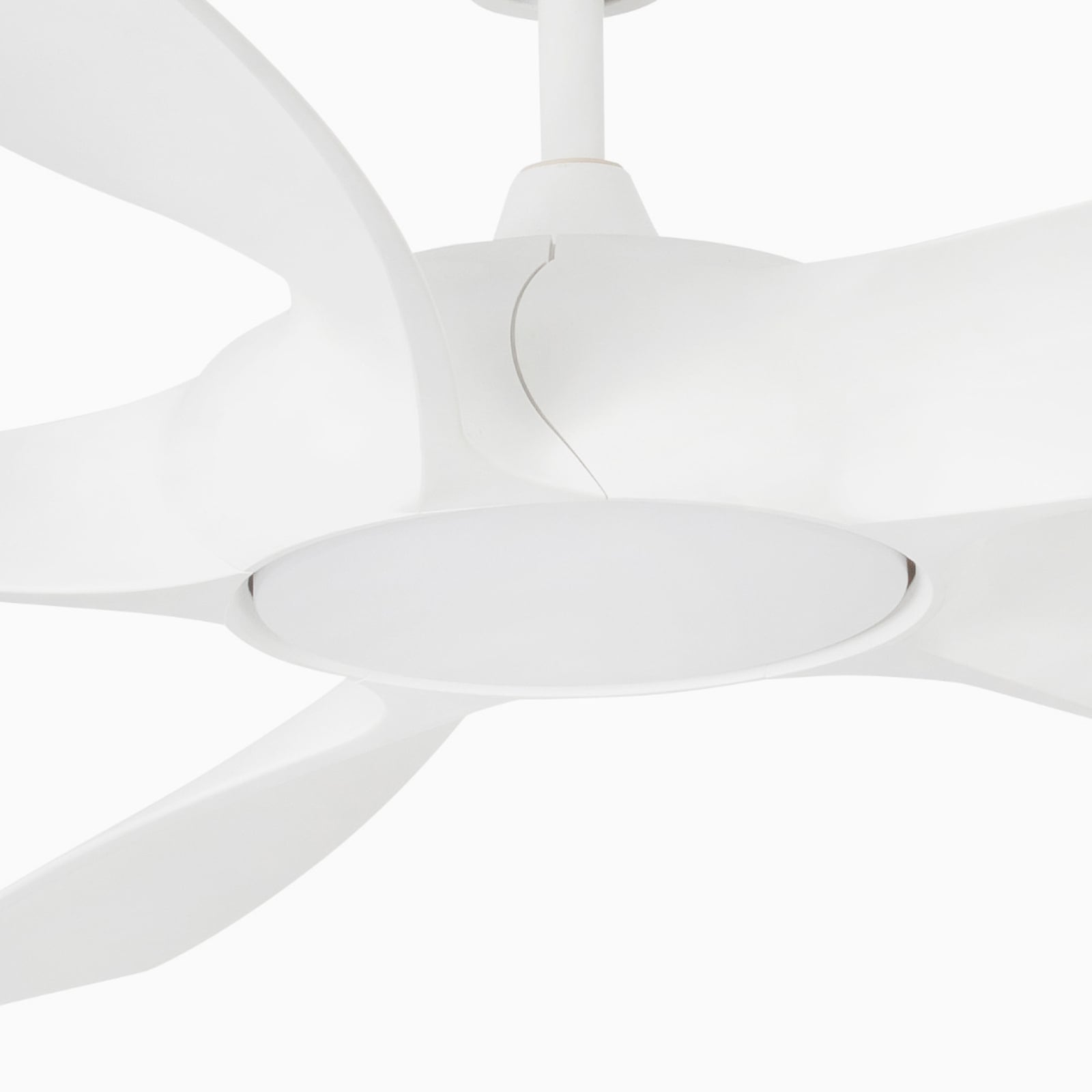 Nærbilde av LED-lys på Takvifte Cocos L med LED-lys DC hvit Ø137 cm