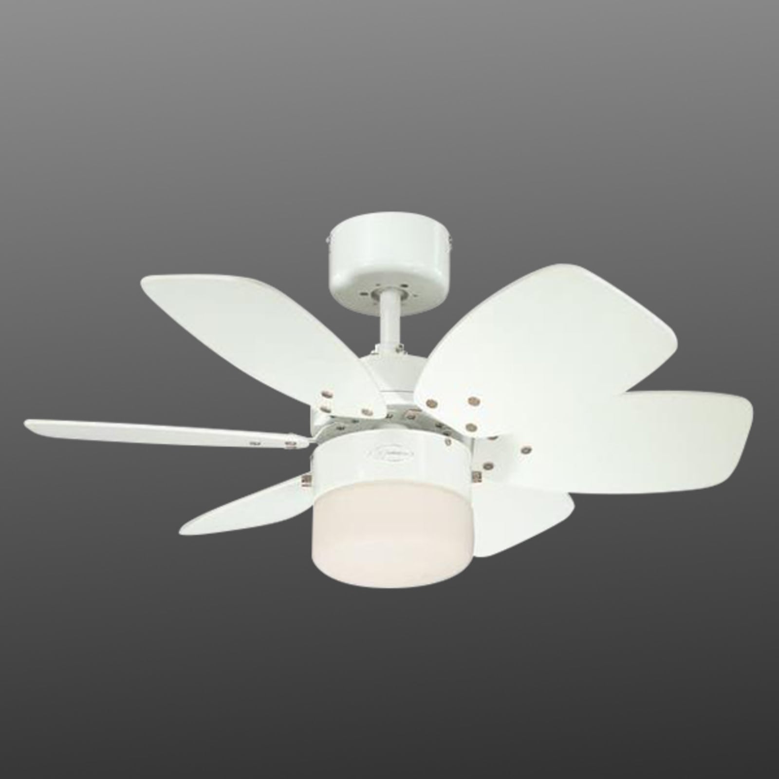 Takvifte med lys Flora Royale E27 Ø76 cm dimbar bakside