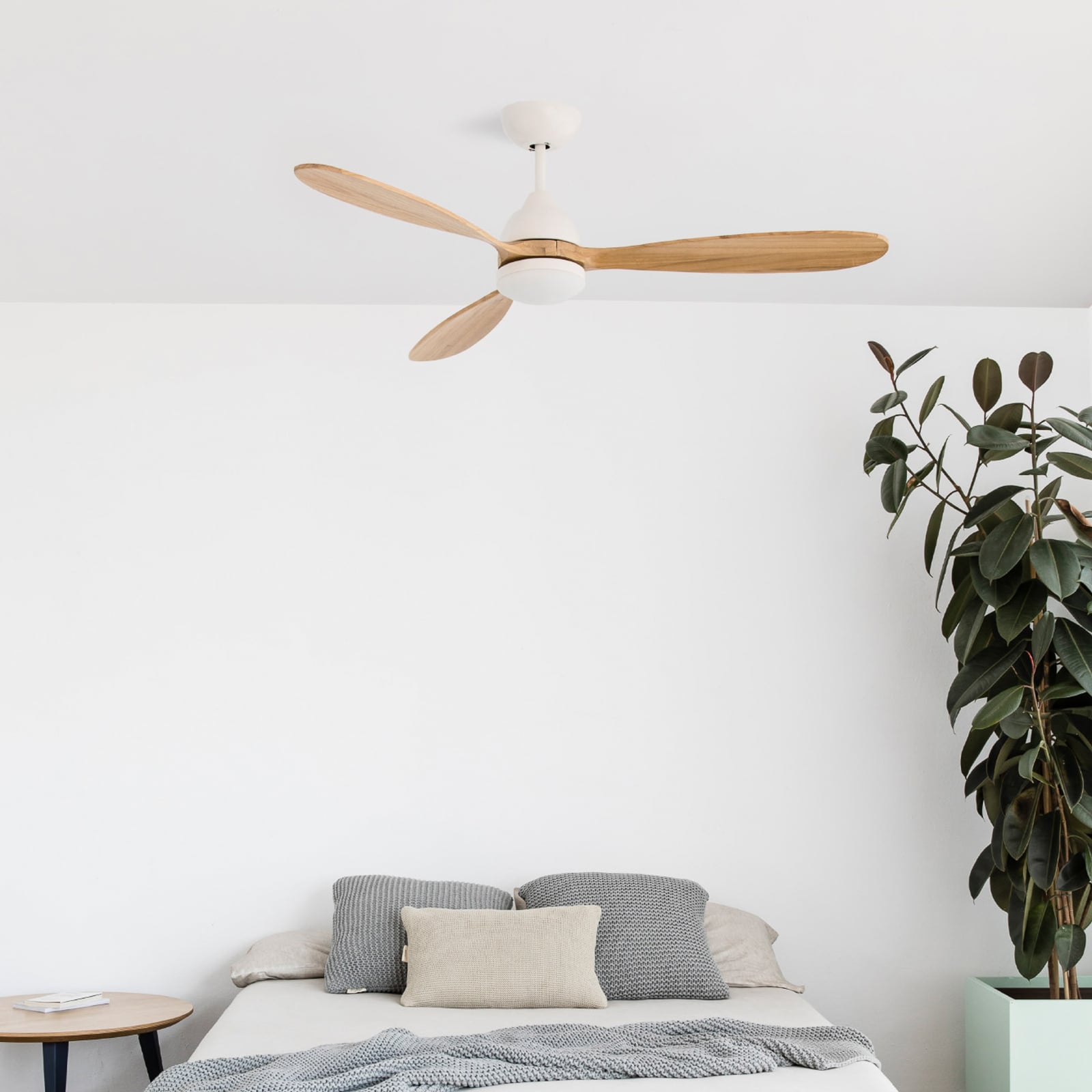 Takvifte Poros med LED-lys bakside og designdetaljer