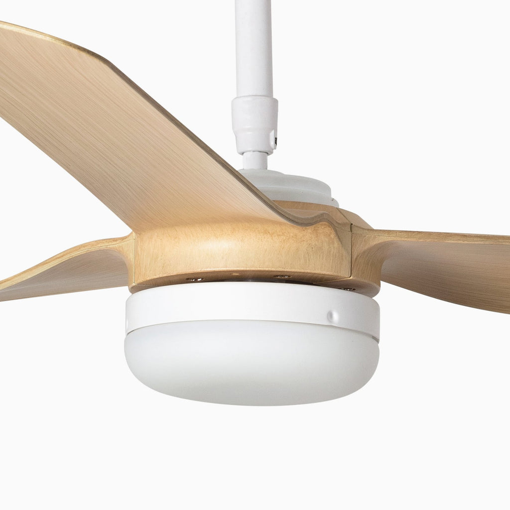 Montert Takvifte Punt M DC LED med fjernkontroll CCT Ø130 cm hvit i rom